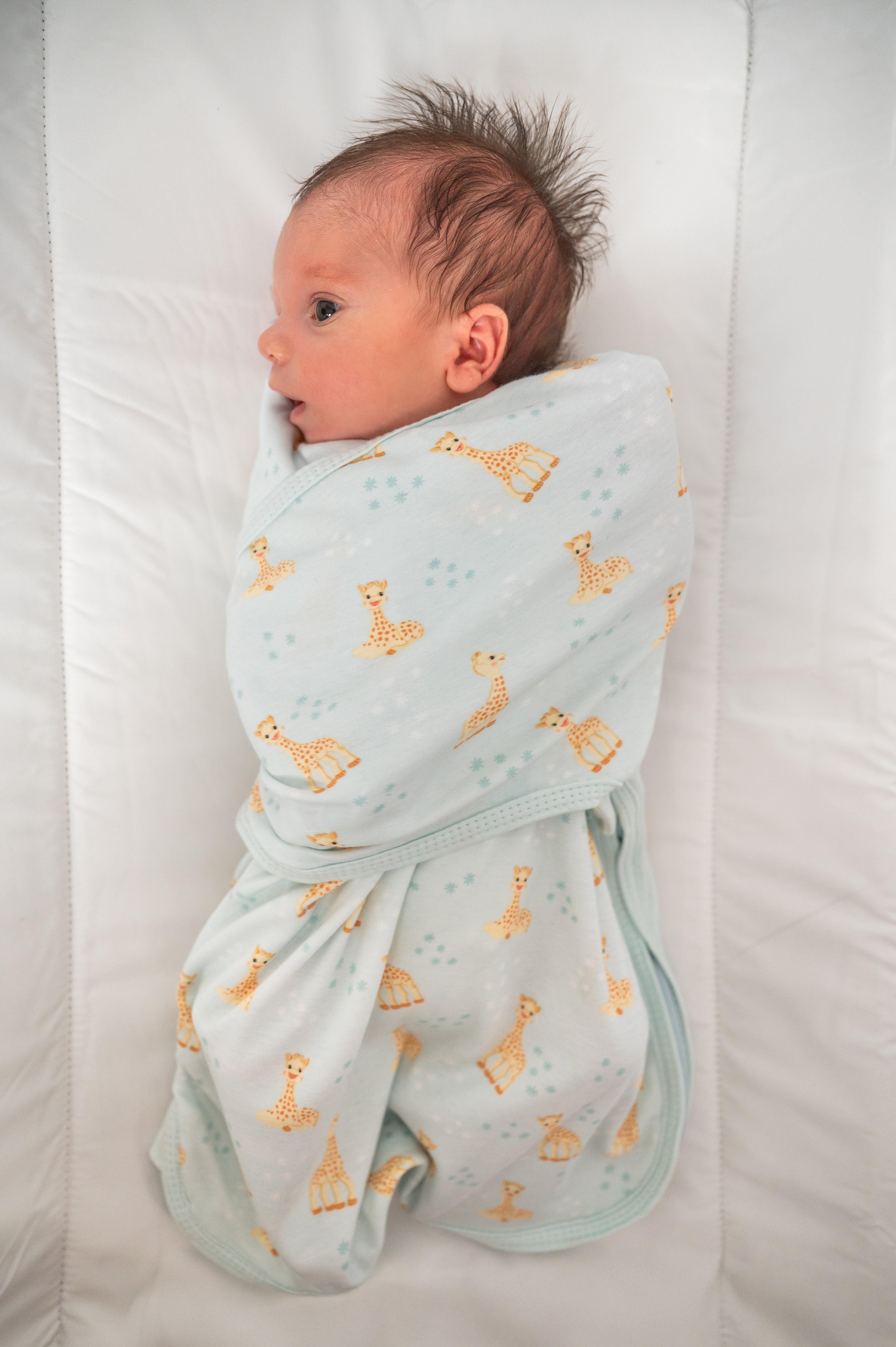 Bliss Snug