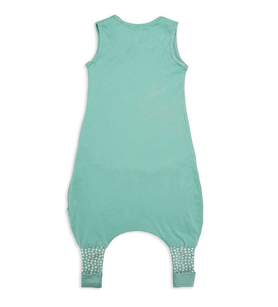 Bliss Jump, Sleeping Bag with Legs, 1 TOG, 18-36 months, FROG, Patch MINT