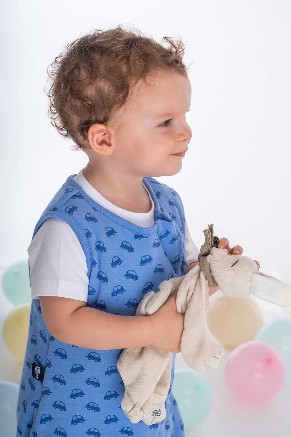 Bliss Jump, Sleeping Bag with Legs, 1 TOG, 18-36 months, VROOM Cars